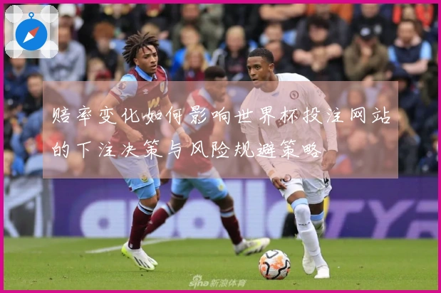 赔率变化如何影响世界杯投注网站的下注决策与风险规避策略