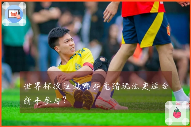 世界杯投注站哪些竞猜玩法更适合新手参与？