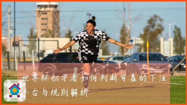 世界杯初学者如何判断可靠的下注平台与规则解析