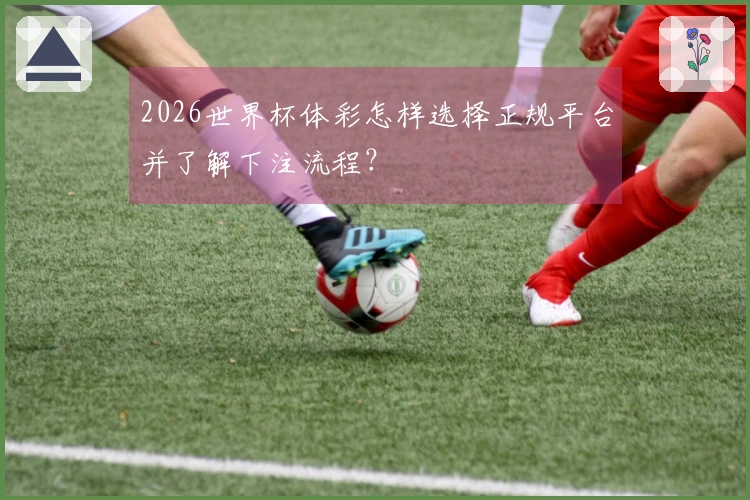 2026世界杯体彩怎样选择正规平台并了解下注流程？
