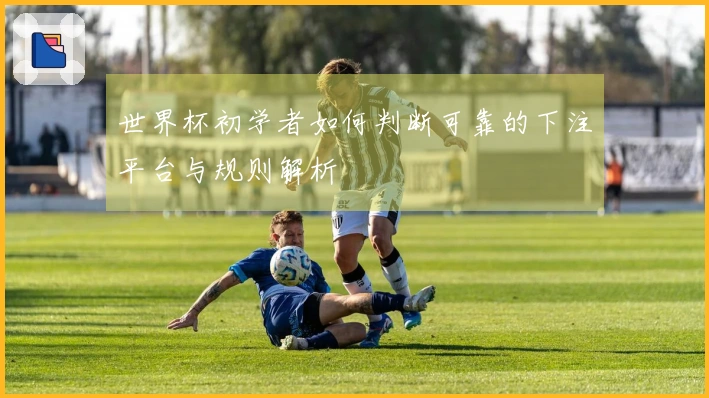 世界杯初学者如何判断可靠的下注平台与规则解析