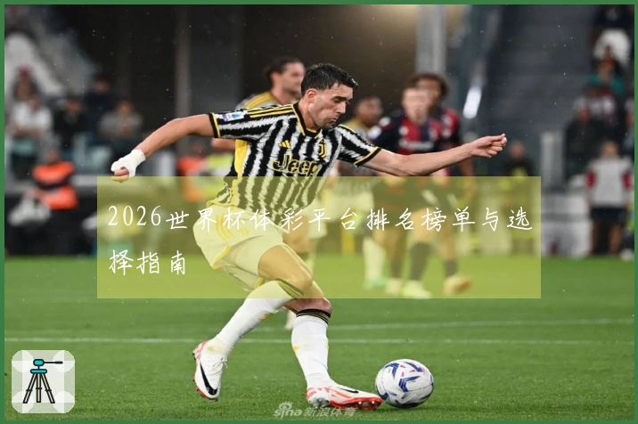 2026世界杯体彩平台排名榜单与选择指南